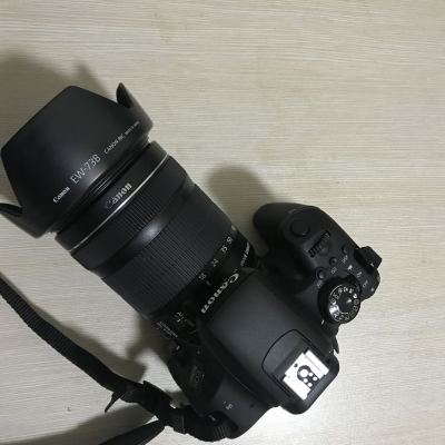 佳能（Canon）EOS 800D（18-135 STM镜头）数码相机入门单反单镜头套装机 有效像素值约2420万晒单图