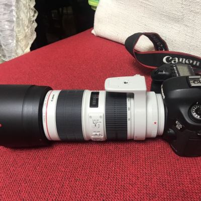 佳能(Canon) EF 70-200mm f/2.8L IS III USM大三元远摄变焦镜头佳能卡口77mm滤镜口径晒单图