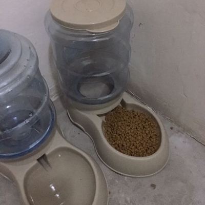 伊萨游猎民族猫粮2.5kg奶糕猫粮全阶段通用英短成猫深海鱼5斤天然粮猫干粮yeasa晒单图