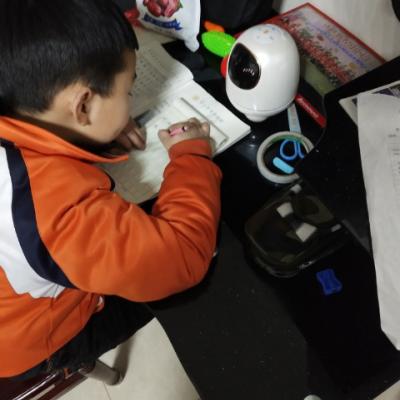 科大讯飞（iFLYTEK) 阿尔法小蛋S智能机器人玩具儿童学习语音对话高科技早教机 TYS2PVC晒单图