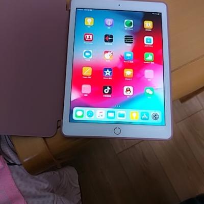 2018款 Apple iPad 9.7英寸 32GB WIFI版 平板电脑 MRJN2CH/A 金色晒单图