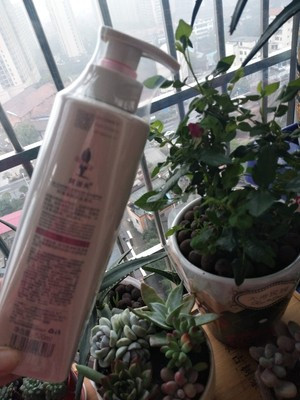 阿道夫滋润修护洗发水植物配方 持久留香正品500ML晒单图