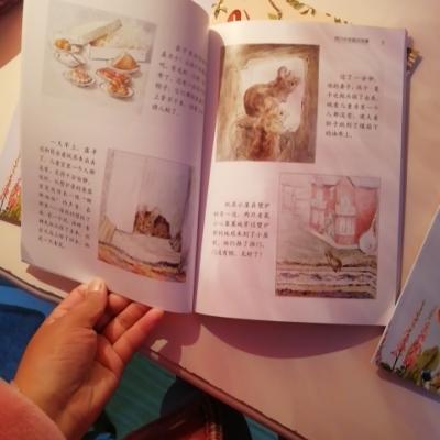 全八册 彼得兔的故事全8本 4-5-6-7-8优质童书教辅儿童书籍 彼得兔的故事课外阅读经典儿童图书经晒单图