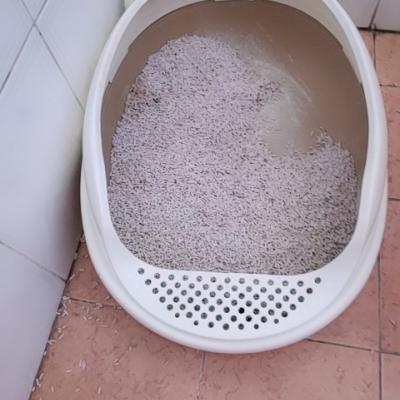 宝尼BAONI可爱的膨润土条形猫砂 5KG晒单图