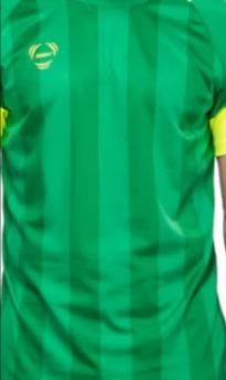 361°男士插肩袖足球服套装2016夏季透气连肩袖舒适比赛队服 蕨绿/本白 XXL晒单图