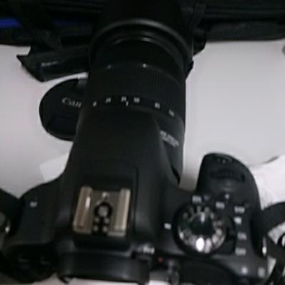 佳能(Canon) EOS 800D 数码单反相机 18-135 IS STM防抖单镜头套装 2420万像素 礼包版晒单图