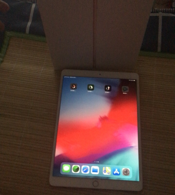 2019款 Apple iPad Air 10.5英寸 苹果 平板电脑 金色 64GB内存 WiFi版 送钢化膜晒单图