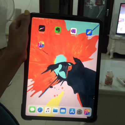 2018款 Apple iPad Pro 平板电脑 11英寸 256GB内存 WIFI版 MTXQ2深空灰色晒单图