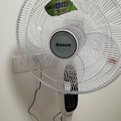 艾美特(Airmate) 电风扇 FS40105QR 五叶遥控 家用降噪 3档 智能预约 电扇 落地扇 空调伴侣晒单图