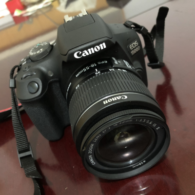 佳能（Canon）EOS 1500D（18-55） 数码相机入门单反单镜头套装 约2410万有效像素晒单图