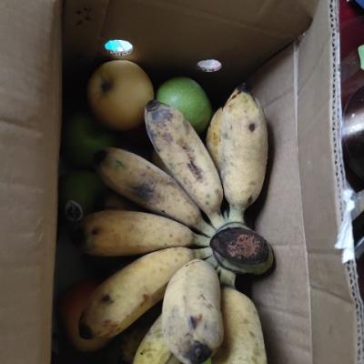 顺丰直发 贵州糯米蕉3斤 扶贫爱心蕉农家自种县长代言天然水果晒单图
