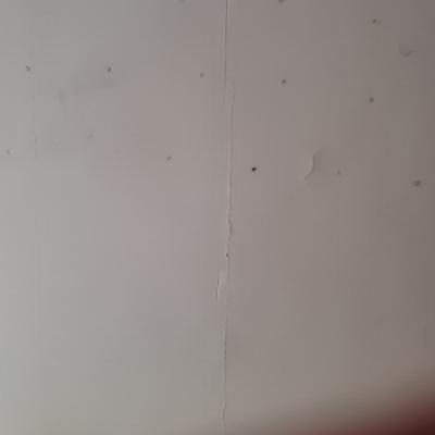 炊大皇炒锅30cm无涂层老式铁锅家用爆炒不易生锈不粘精铁锅无盖CG30SW晒单图