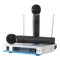 奔腾（BNTN）音响 音箱 家庭影院 无线麦 话筒 一拖二 KTV卡拉OK 家用 会议无线手持话筒 T20