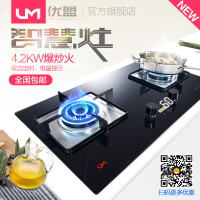 优盟UZ228DS燃气灶家用厨房煤气灶定时台式两用聚能猛火炉灶具天然气