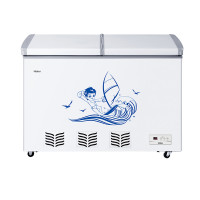 海尔冷柜BC/BD-220SEE