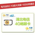 宜昌电信4G畅聊卡（激活到账100元，每月2.1G省内流量+100分钟全国通话）