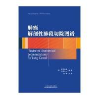 肺癌解剖性肺段切除图谱