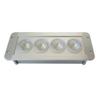 正辉 12w LED 应急低顶灯 NFE9191A-L12 (个)
