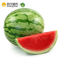 展卉 国产西瓜1个 约2.5kg 新鲜水果
