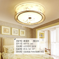 Grevol品拓PINTUOLED吸顶灯卧室灯简约现代吸顶灯亚克力温馨浪漫卧室灯书房灯创意餐厅灯具灯饰18M2 夏莲款三色
