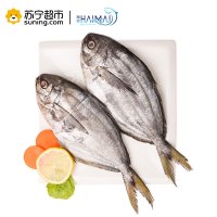 海买 冷冻进口厄瓜多尔鲳鱼 500g 2条 袋装
