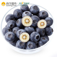 欢乐果园 秘鲁进口蓝莓 1盒装 125g/盒