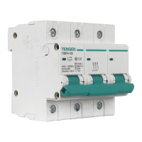 天正电气 TGB1N-125 2P C 100A 6kA AC400V 01060280019 微型断路器