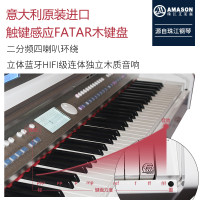 珠江艾茉森K5电钢琴88键重锤专业成人家用卡拉OK智能电子数码钢琴 白色
