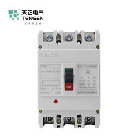 天正电气 TGM1-250 50KA 热磁式250A 3P手动 固定式 400VAC 01040077090塑壳断路器