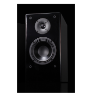 迪杰锐声(DIGIRESEARCH) 扬声器 DVS4