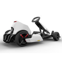 ninebot 卡丁套件 + segway miniPRO