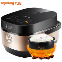 九阳(Joyoung)电饭煲F-40T9 IH电磁加热 铁釜内胆 智能预约 钢化玻璃触控 4L家用多功能 金色