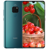 华为/HUAWEI Mate 30 6GB+128GB 翡冷翠 麒麟990智慧芯片