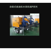 自吸式柴油机水泵机组P系列