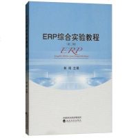 ERP综合实验教程（第二版）