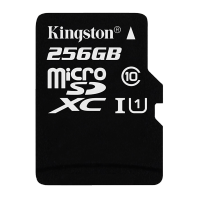 金士顿（Kingston）256GB TF(Micro SD) 存储卡 U1 C10 高速升级版 连续拍摄更流畅