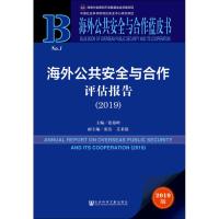 海外公共安全与合作评估报告(2019) 2019版