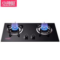 小神厨天然气双眼灶具DS5509