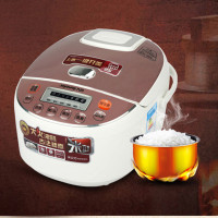 九阳家用电饭煲 JYF-30FE05