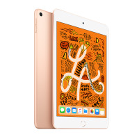 2019款 iPad mini 5 7.9英寸 平板电脑64GB Wifi+4G蜂窝网络版MUXT2 金色/LT