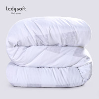 ladysoft御棉堂 加厚保暖冬被学生宿舍被褥浅粉色200*230cm磨毛印花秋冬被芯单人双人冬季太空被子 浅灰色 2.0*2.3m