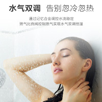 惠而浦燃气热水器JSQ25-T13VA1