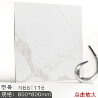 新中源陶瓷通体大理石瓷砖防滑地板砖800x800简约北欧客厅地砖8T116 NB8T116（单片价格） 800*800