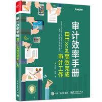 审计效率手册:用EXCEL高效完成审计工作