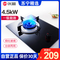 优盟ZJ005G 天然气（4.8kW+防烫）
