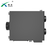 雪圣(XUESHENG) DX-600JYA-01 无耗材单向流新风机 除雾霾长效杀菌 (做净化器使用可加配除甲醛装置）