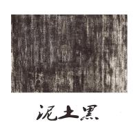 北欧简约素色客厅茶几地毯/日式美式地中海风现代卧室满铺ins民宿_3_1 80X160CM赠送小礼品 泥土黑