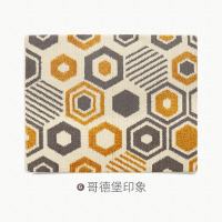地毯垫入户进脚垫厅进垫子家用大口蹭土垫定制内地垫_4 80*120cm 哥德堡印象