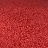 塑料地毯毯入户地垫店脚垫垫进蹭土丝圈家用pvc加厚_7 80*120 红色