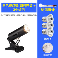 小乌龟灯晒背灯三合一龟用背照灯架uva+uvb灯爬宠全光谱太阳灯泡 默认尺寸 【黑色短灯架】调频开关+3个灯泡